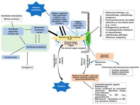 Vomiting Mechanisms