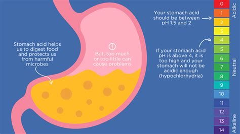 Vomiting Stomach Acid Causes
