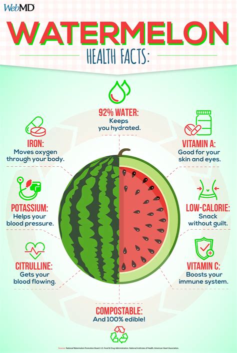 watermelon digestive health