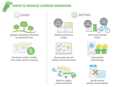 Ways to Mitigate the Effects of Low Co2 Levels