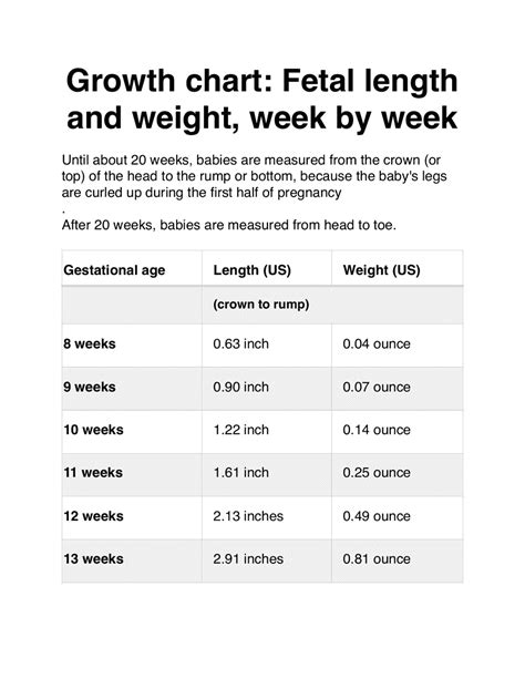 Week-by-Week Development