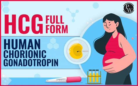 what is hcg