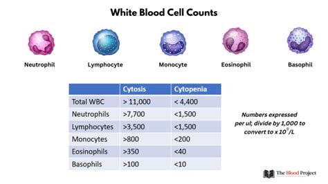 white blood cell count