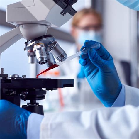 White Blood Cell Test Results