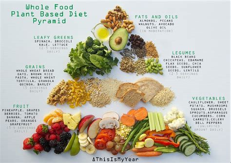 whole food vegetable-based diet