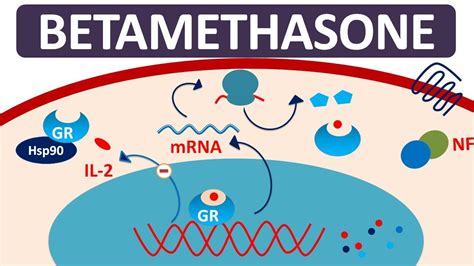 Working Mechanism of Betamethasone