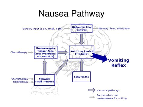 Working Mechanisms of Anti-Vomiting Strategies