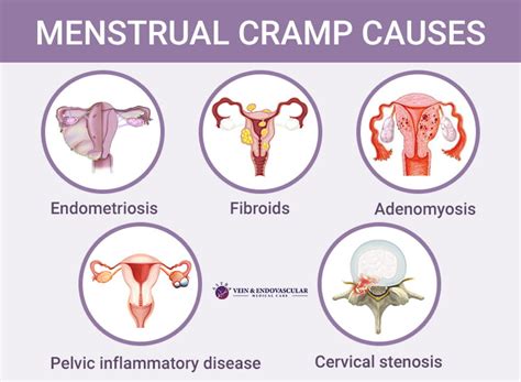 working mechanisms of period cramp relief medicine