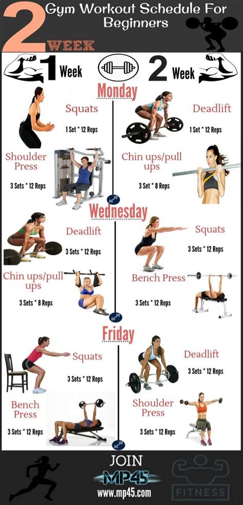 workout routines for different fitness levels